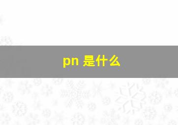 pn 是什么